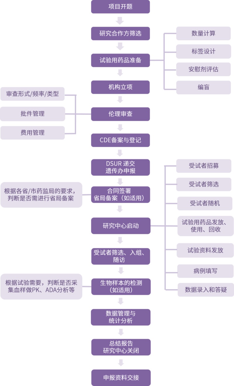 藥物臨床試驗流程圖（藥物臨床試驗全流程梳理）(圖1)