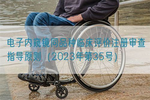 電子內(nèi)窺鏡同品種臨床評價注冊審查指導(dǎo)原則（2023年第35號）(圖1)