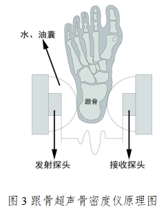 超聲骨密度儀注冊技術(shù)審查指導(dǎo)原則（2017年第180號(hào)）(圖3)