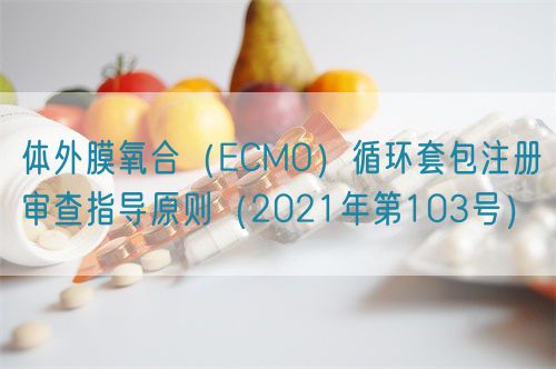 體外膜氧合（ECMO）循環(huán)套包注冊審查指導(dǎo)原則（2021年第103號）(圖1)