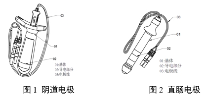 神經(jīng)和肌肉刺激器用體內(nèi)電極注冊審查指導(dǎo)原則（2024年第19號）(圖1)