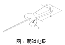 神經(jīng)和肌肉刺激器用體內(nèi)電極注冊審查指導(dǎo)原則（2024年第19號）(圖4)