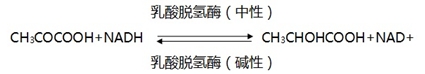 乳酸脫氫酶測定試劑盒注冊審查指導(dǎo)原則（2024年修訂版）（2024年第19號(hào)）(圖1)