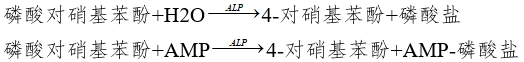 堿性磷酸酶測(cè)定試劑注冊(cè)審查指導(dǎo)原則（2024修訂版）（2024年第19號(hào)）(圖1)