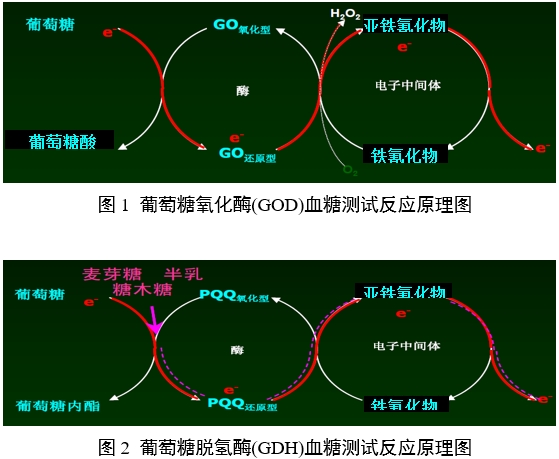 血糖儀注冊審查指導(dǎo)原則（2024年修訂版）（2024年第21號）(圖1)