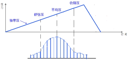 電子血壓計（示波法）注冊審查指導(dǎo)原則（2024年修訂版）（2024年第21號）(圖2)