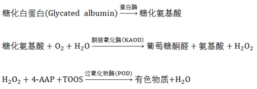 糖化白蛋白測定試劑注冊技術(shù)審查指導(dǎo)原則（2020年第14號）(圖3)