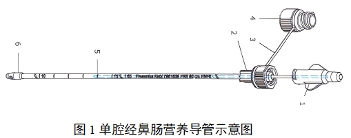 經(jīng)鼻腸營養(yǎng)導(dǎo)管注冊審查指導(dǎo)原則（2022年第41號）(圖1)