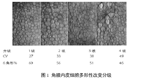 接觸鏡護(hù)理產(chǎn)品注冊(cè)審查指導(dǎo)原則（2023年修訂版）（2023年第9號(hào)）(圖12)