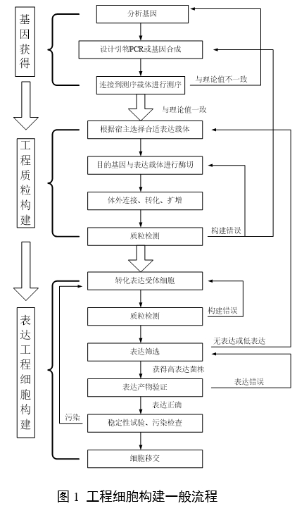 重組人源化膠原蛋白原材料評價指導(dǎo)原則（2023年第16號）(圖3)