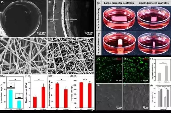 生物相容性是什么？如何準(zhǔn)備生物相容性檢測的樣品？(圖2)