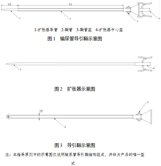 一次性使用輸尿管導(dǎo)引鞘注冊審查指導(dǎo)原則（2021年第102號）(圖2)