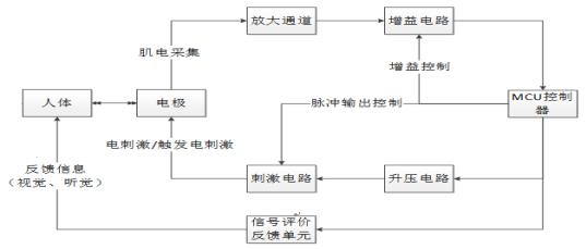 肌電生物反饋治療儀注冊技術(shù)審查指導(dǎo)原則（2019年第79號）(圖3)