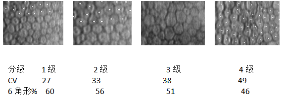 接觸鏡護(hù)理產(chǎn)品注冊(cè)技術(shù)審查指導(dǎo)原則（食藥監(jiān)辦械函[2011]116號(hào)）(圖3)