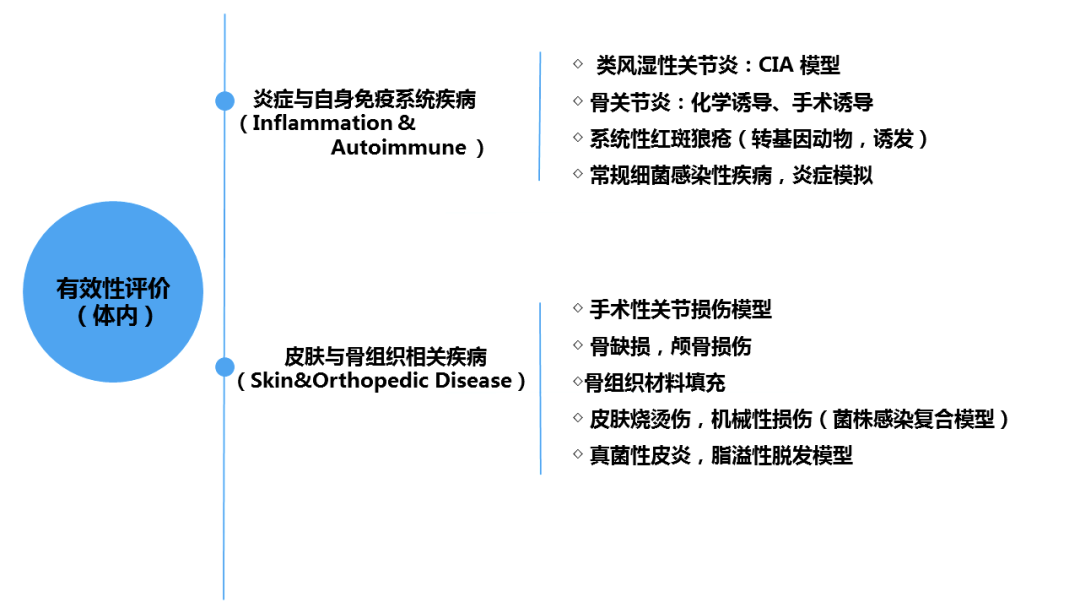 美容類醫(yī)療器械注冊(cè)申報(bào)關(guān)注要點(diǎn)(圖4)