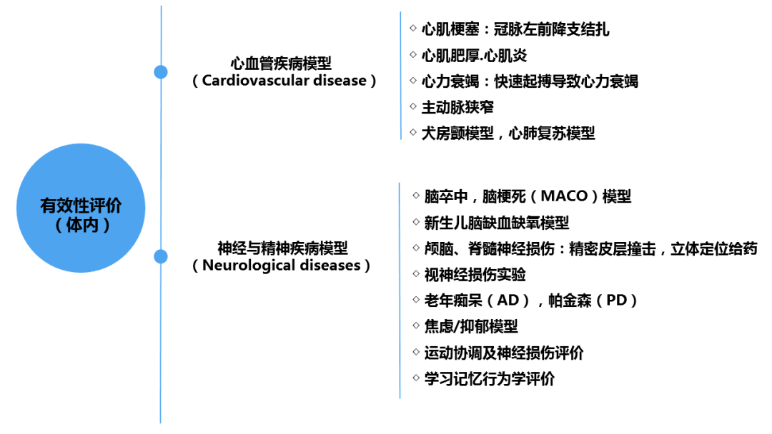 美容類醫(yī)療器械注冊(cè)申報(bào)關(guān)注要點(diǎn)(圖6)