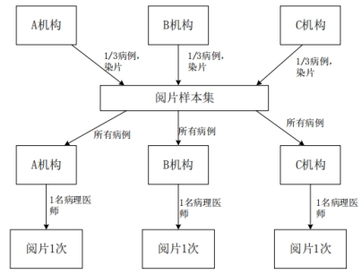 PD-L1檢測(cè)試劑臨床試驗(yàn)—結(jié)果重現(xiàn)性研究注冊(cè)審查指導(dǎo)原則（2022年第27號(hào)）(圖5)