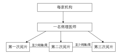 PD-L1檢測(cè)試劑臨床試驗(yàn)—結(jié)果重現(xiàn)性研究注冊(cè)審查指導(dǎo)原則（2022年第27號(hào)）(圖3)