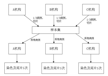 PD-L1檢測(cè)試劑臨床試驗(yàn)—結(jié)果重現(xiàn)性研究注冊(cè)審查指導(dǎo)原則（2022年第27號(hào)）(圖2)