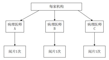 PD-L1檢測(cè)試劑臨床試驗(yàn)—結(jié)果重現(xiàn)性研究注冊(cè)審查指導(dǎo)原則（2022年第27號(hào)）(圖4)