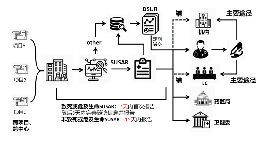 臨床試驗(yàn)安全性事件如何上報(bào)？臨床試驗(yàn)不良事件上報(bào)流程圖(圖3)