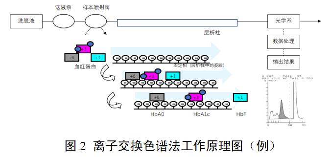 糖化血紅蛋白分析儀注冊審查指導(dǎo)原則（2022年第35號）(圖2)